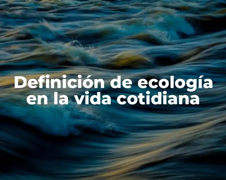 Definición de ecología en la vida cotidiana