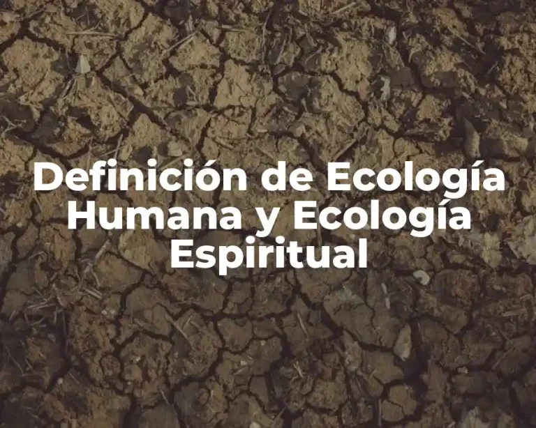 Definición de Ecología Humana y Ecología Espiritual