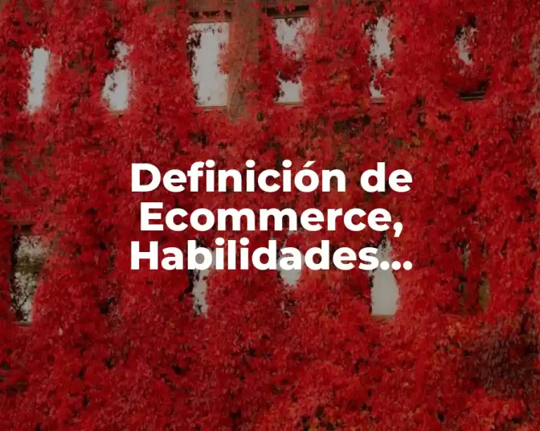Definición de Ecommerce, Habilidades, Obligaciones y Tareas Críticas