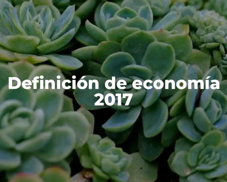 Definición de economía 2017