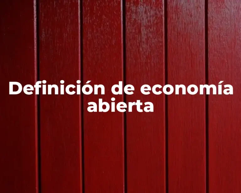 Definición de economía abierta