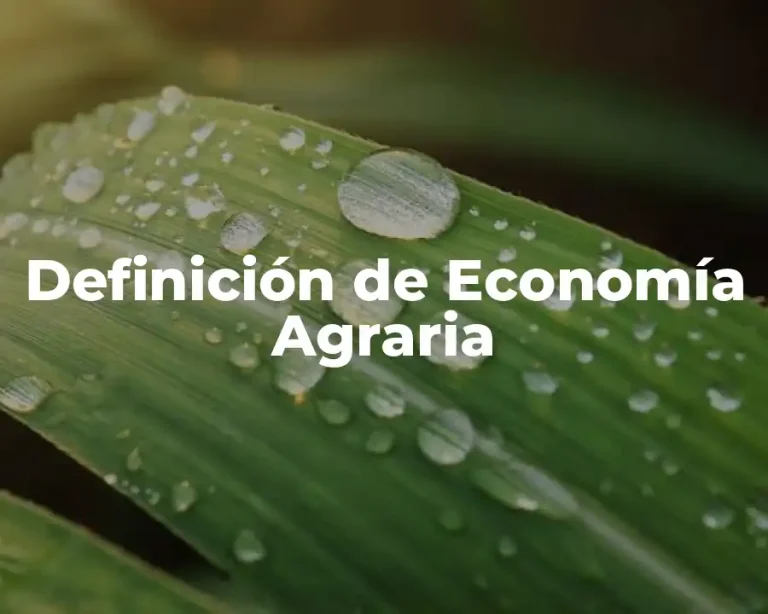 Definición de Economía Agraria