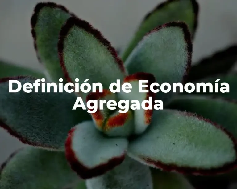 Definición de Economía Agregada
