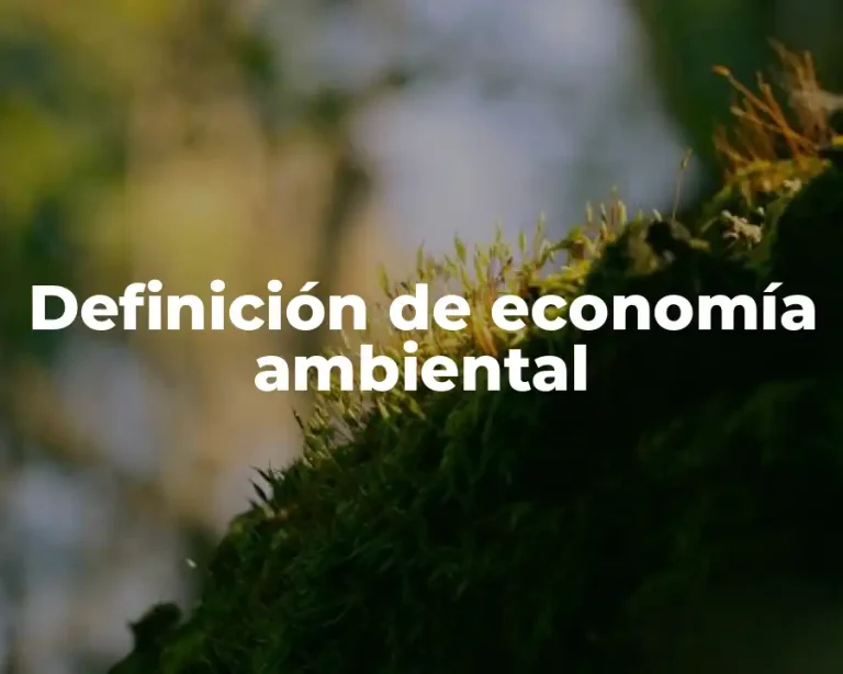 Definición de economía ambiental