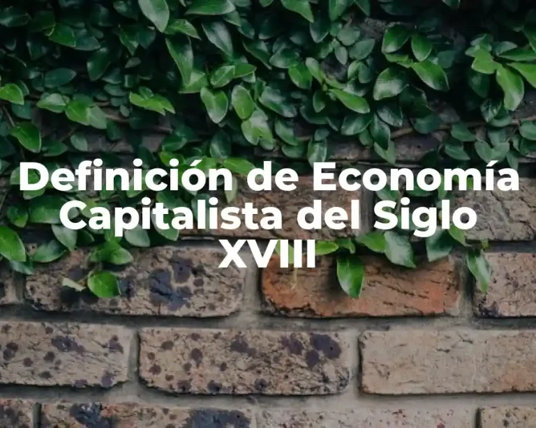 Definición de Economía Capitalista del Siglo XVIII