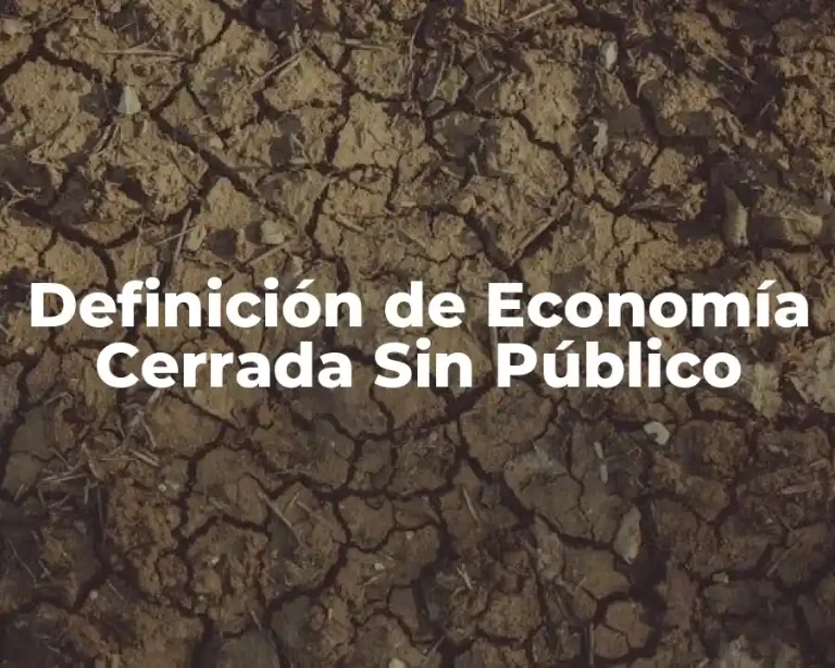 Definición de Economía Cerrada Sin Público