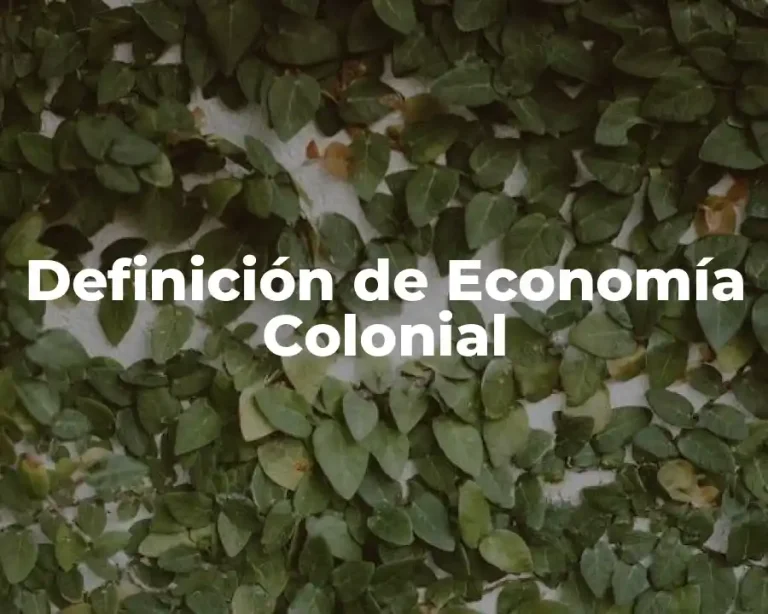 Definición de Economía Colonial