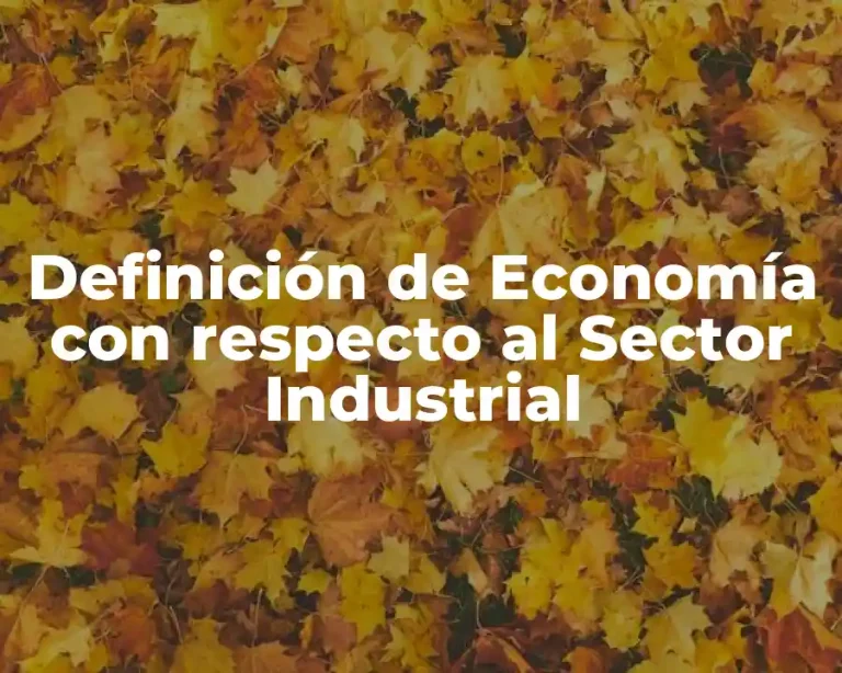 Definición de Economía con respecto al Sector Industrial