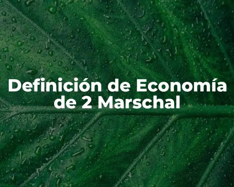Definición de Economía de 2 Marschal