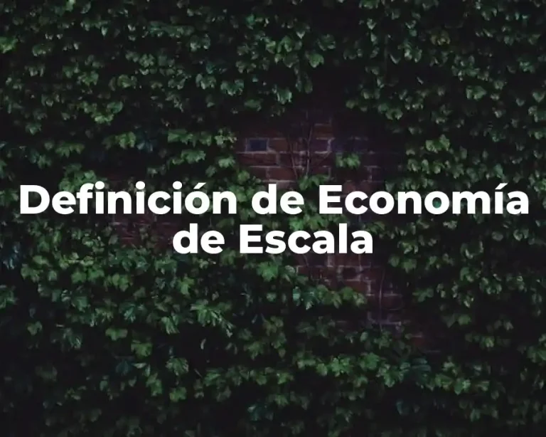 Definición de Economía de Escala
