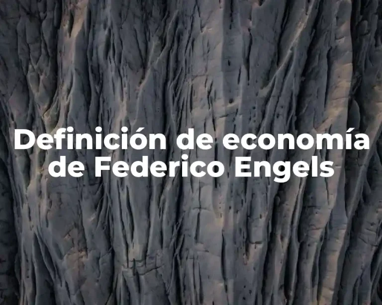 Definición de economía de Federico Engels