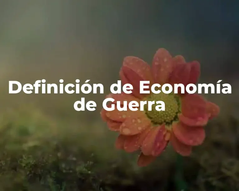 Definición de Economía de Guerra