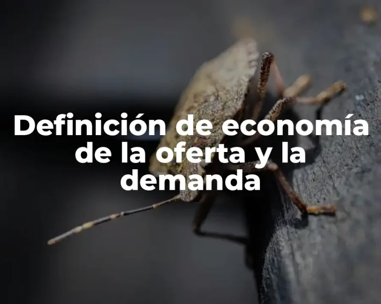 Definición de economía de la oferta y la demanda