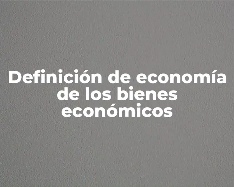 Definición de economía de los bienes económicos