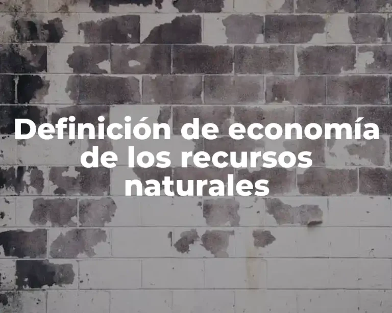 Definición de economía de los recursos naturales