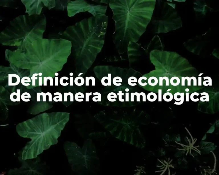 Definición de economía de manera etimológica