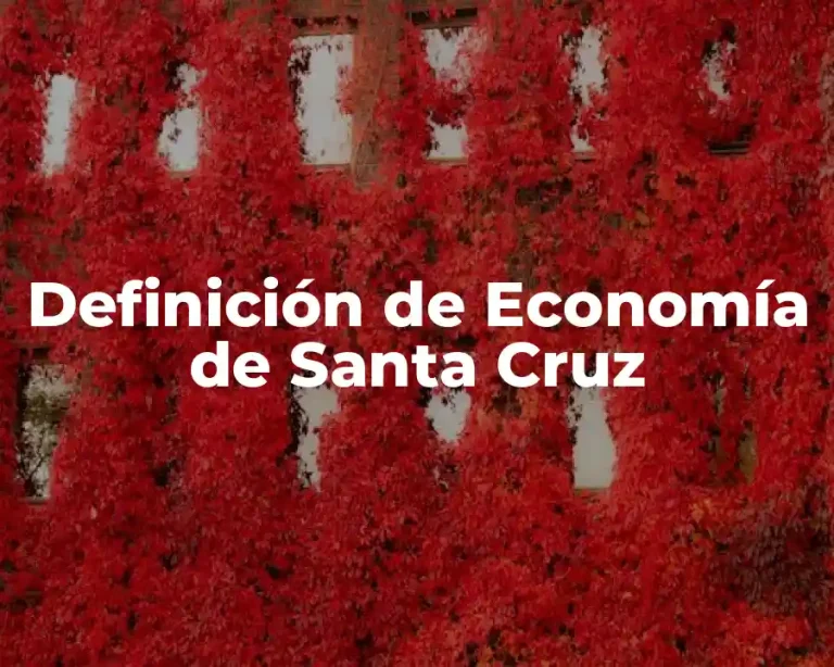 Definición de Economía de Santa Cruz