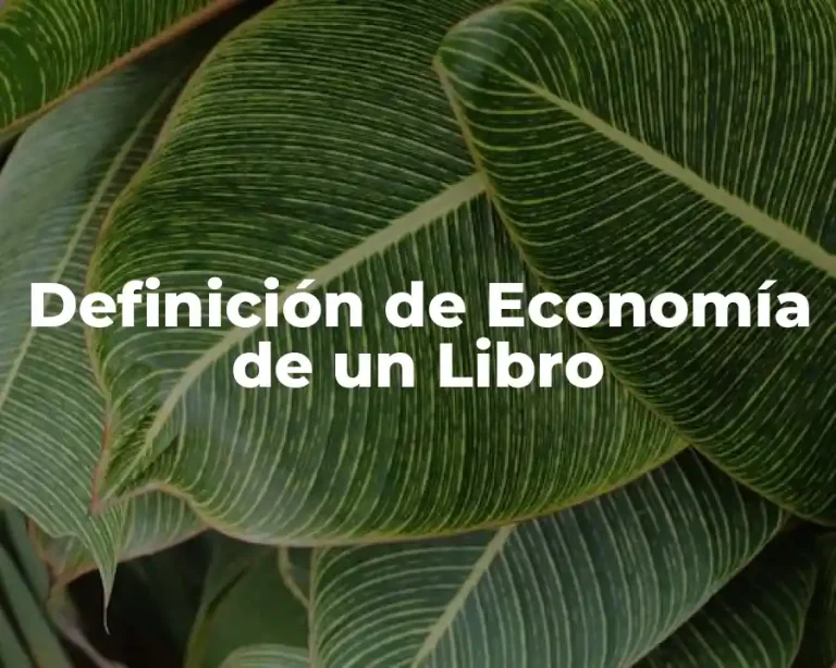 Definición de Economía de un Libro