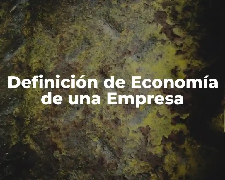 Definición de Economía de una Empresa