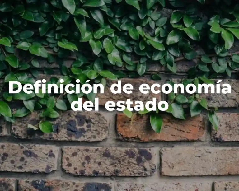 Definición de economía del estado
