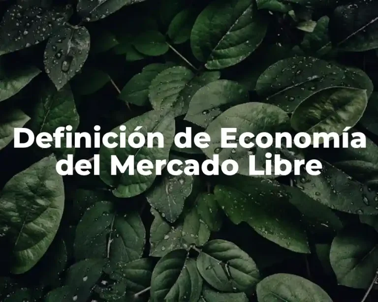 Definición de Economía del Mercado Libre