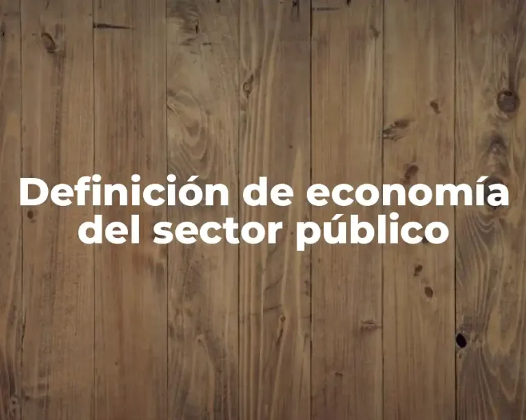 Definición de economía del sector público