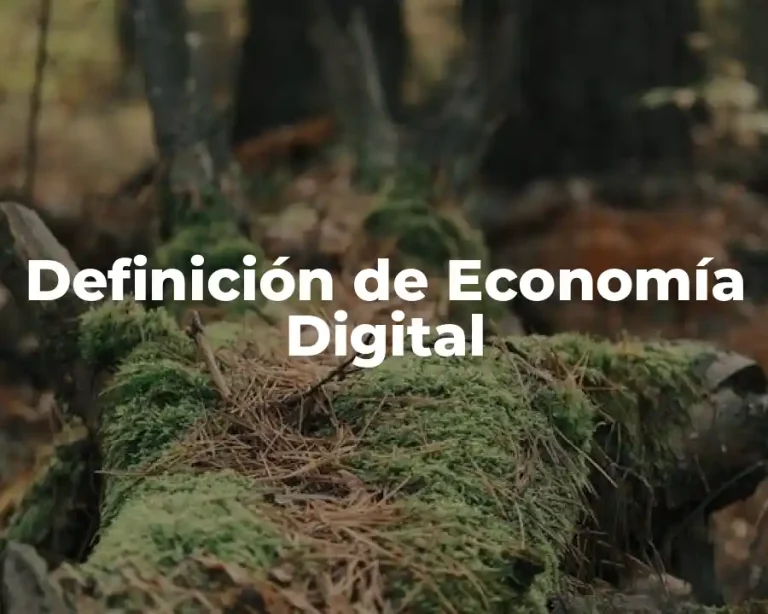 Definición de Economía Digital