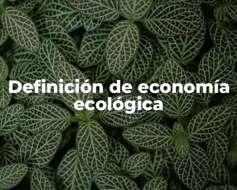 Definición de economía ecológica