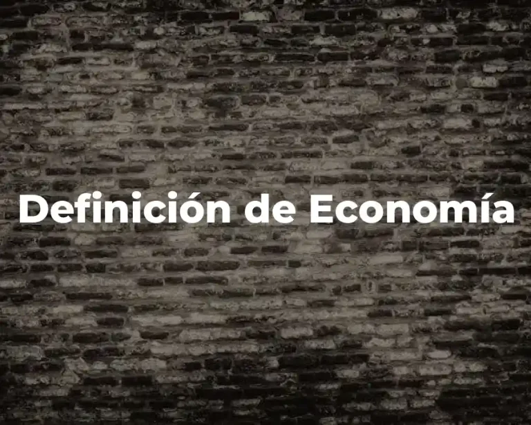 Definición de Economía