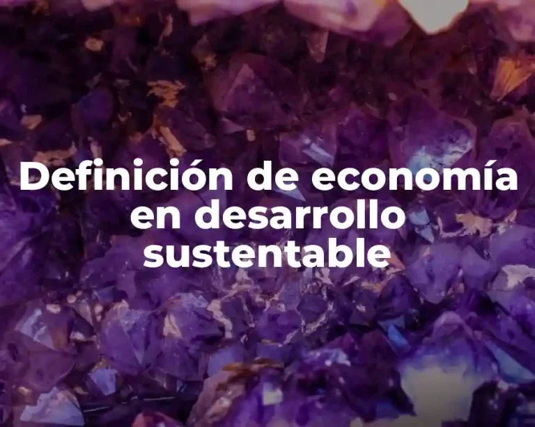 Definición de economía en desarrollo sustentable