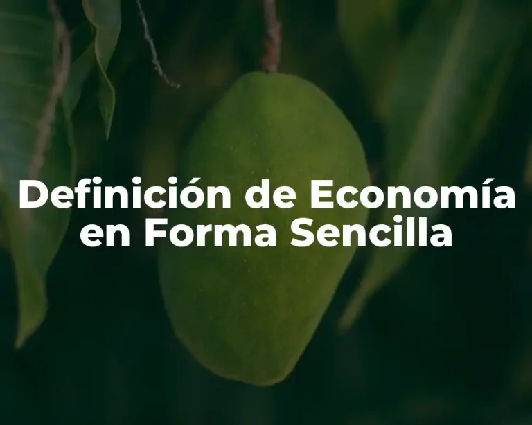 Definición de Economía en Forma Sencilla