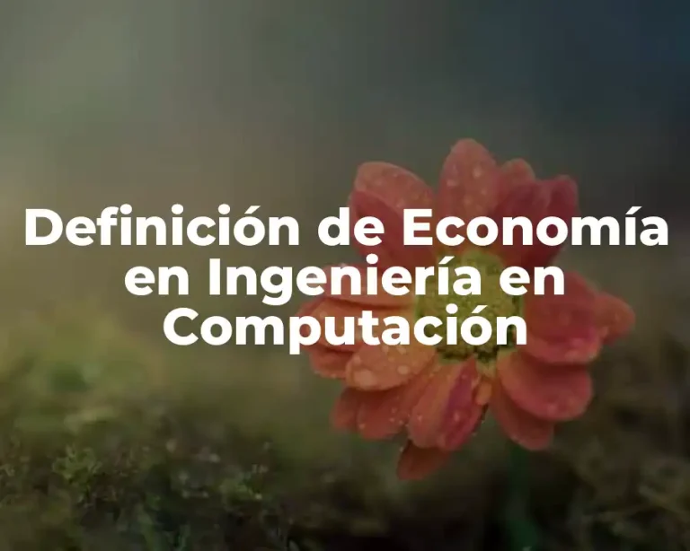 Definición de Economía en Ingeniería en Computación
