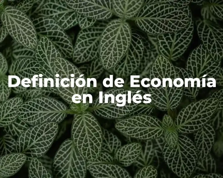 Definición de Economía en Inglés