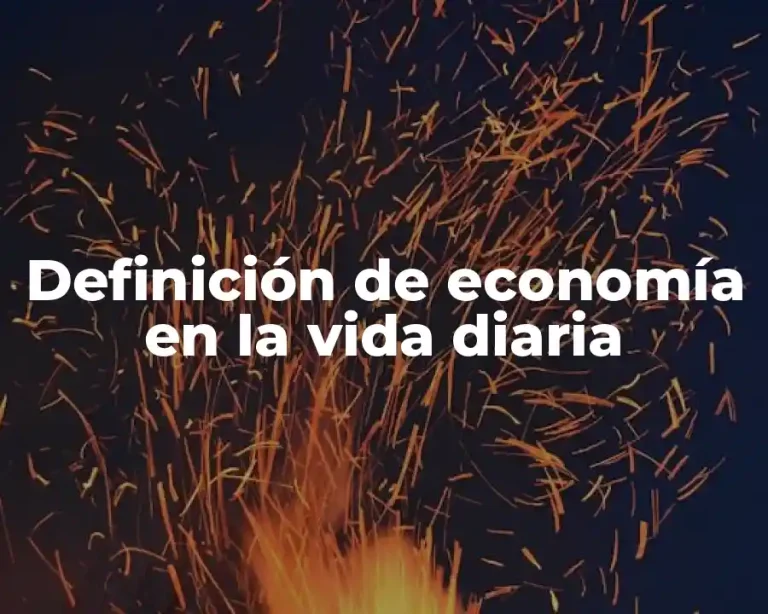 Definición de economía en la vida diaria