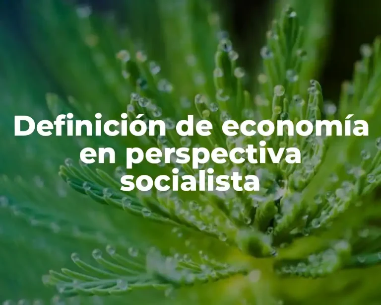 Definición de economía en perspectiva socialista