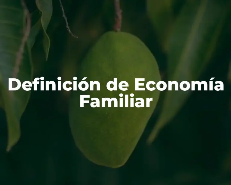 Definición de Economía Familiar