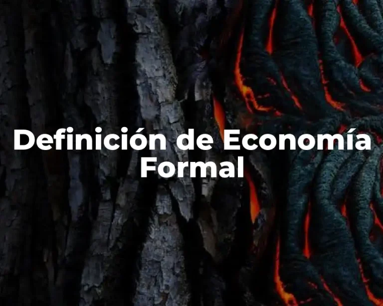 Definición de Economía Formal