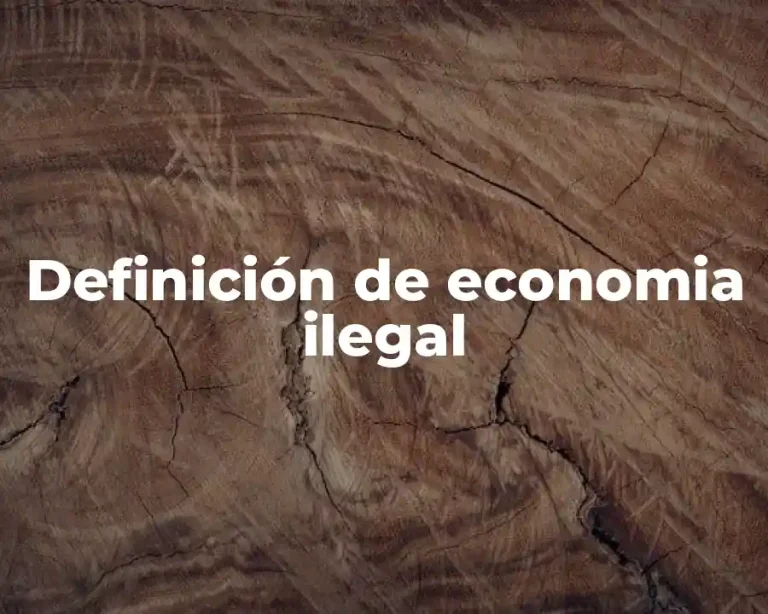 Definición de economia ilegal