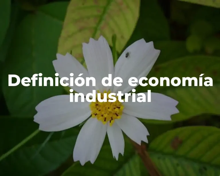 Definición de economía industrial