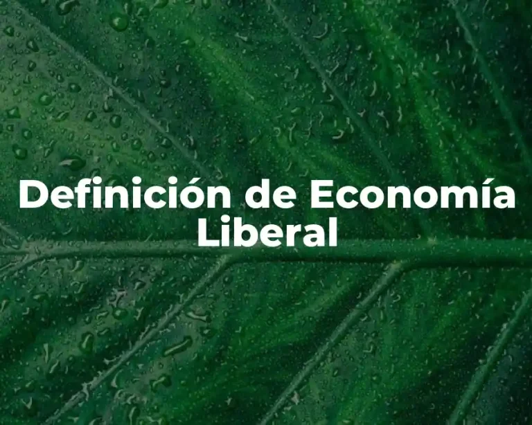 Definición de Economía Liberal