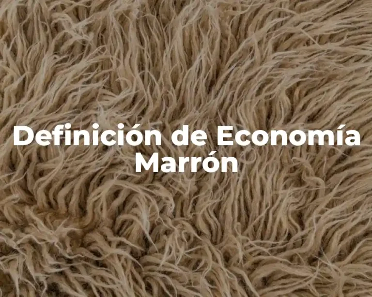 Definición de Economía Marrón