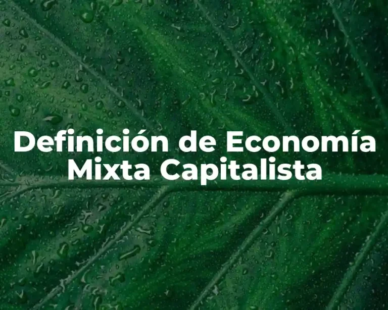 Definición de Economía Mixta Capitalista