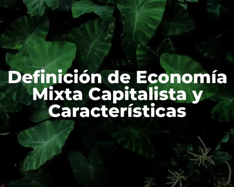 Definición de Economía Mixta Capitalista y Características