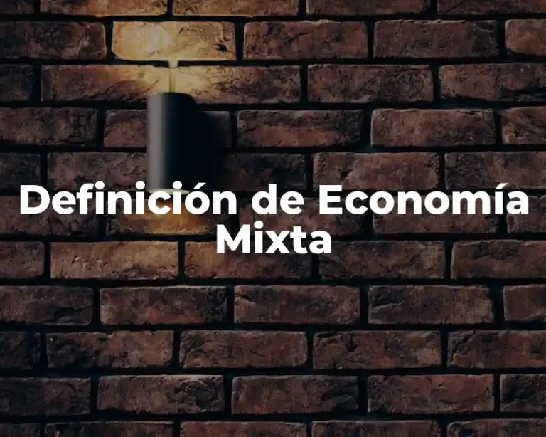 Definición de Economía Mixta