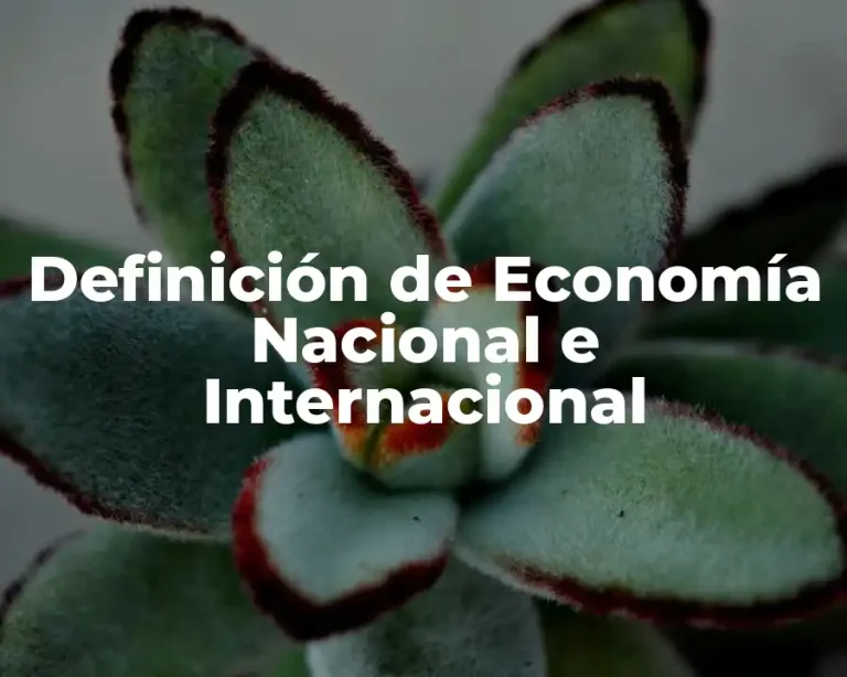Definición de Economía Nacional e Internacional