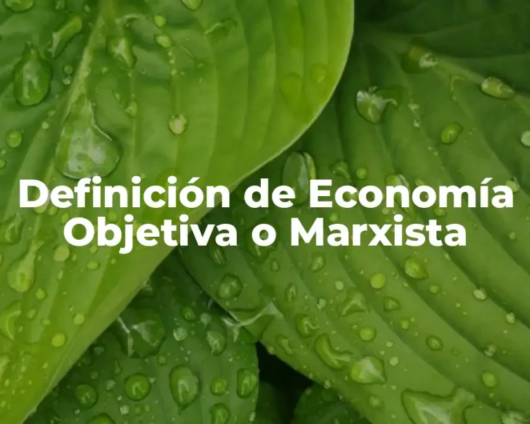 Definición de Economía Objetiva o Marxista