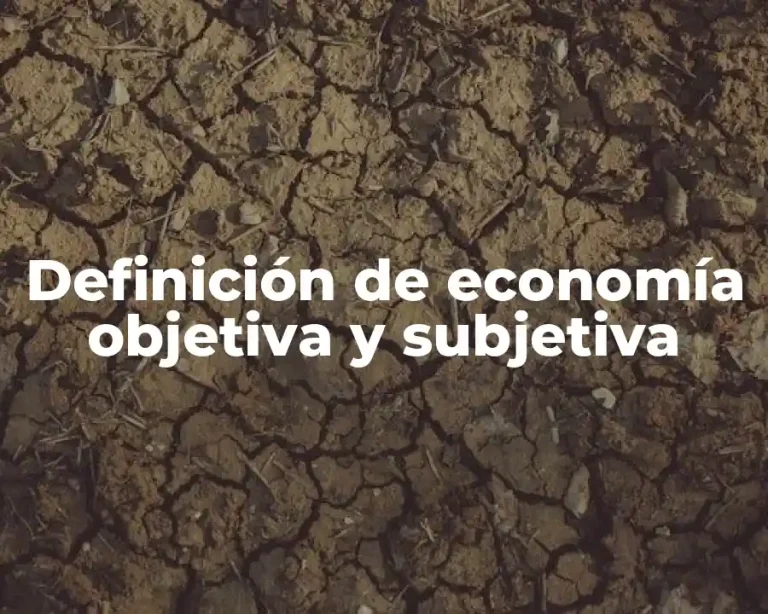 Definición de economía objetiva y subjetiva