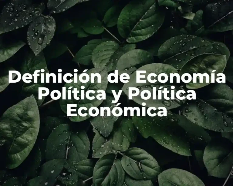 Definición de Economía Política y Política Económica