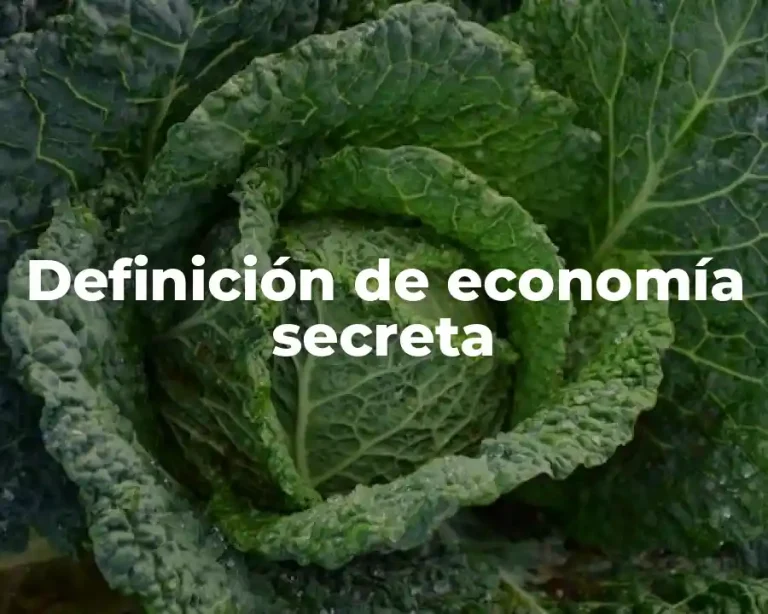 Definición de economía secreta