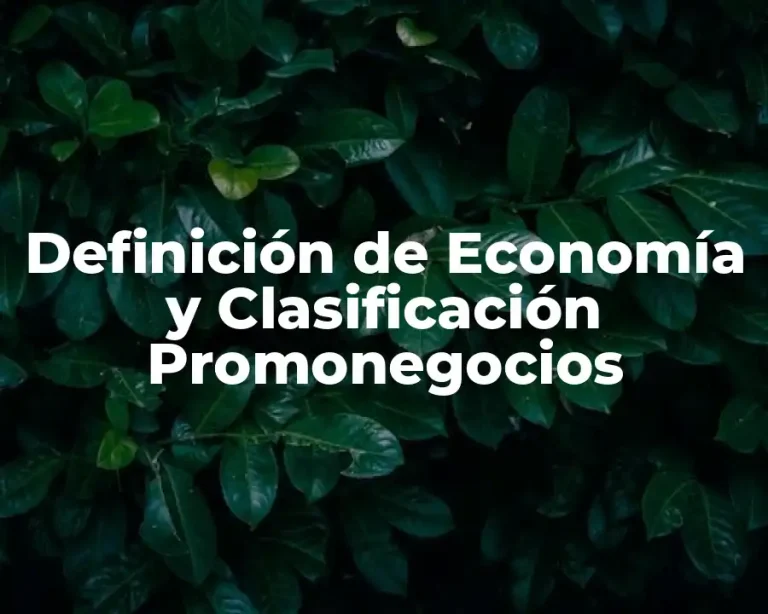 Definición de Economía y Clasificación Promonegocios